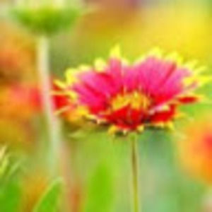 Meet your Posher, Reeve